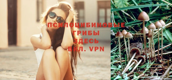 прущий лед Алексеевка
