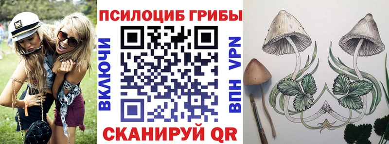 Галлюциногенные грибы прущие грибы  Полесск 